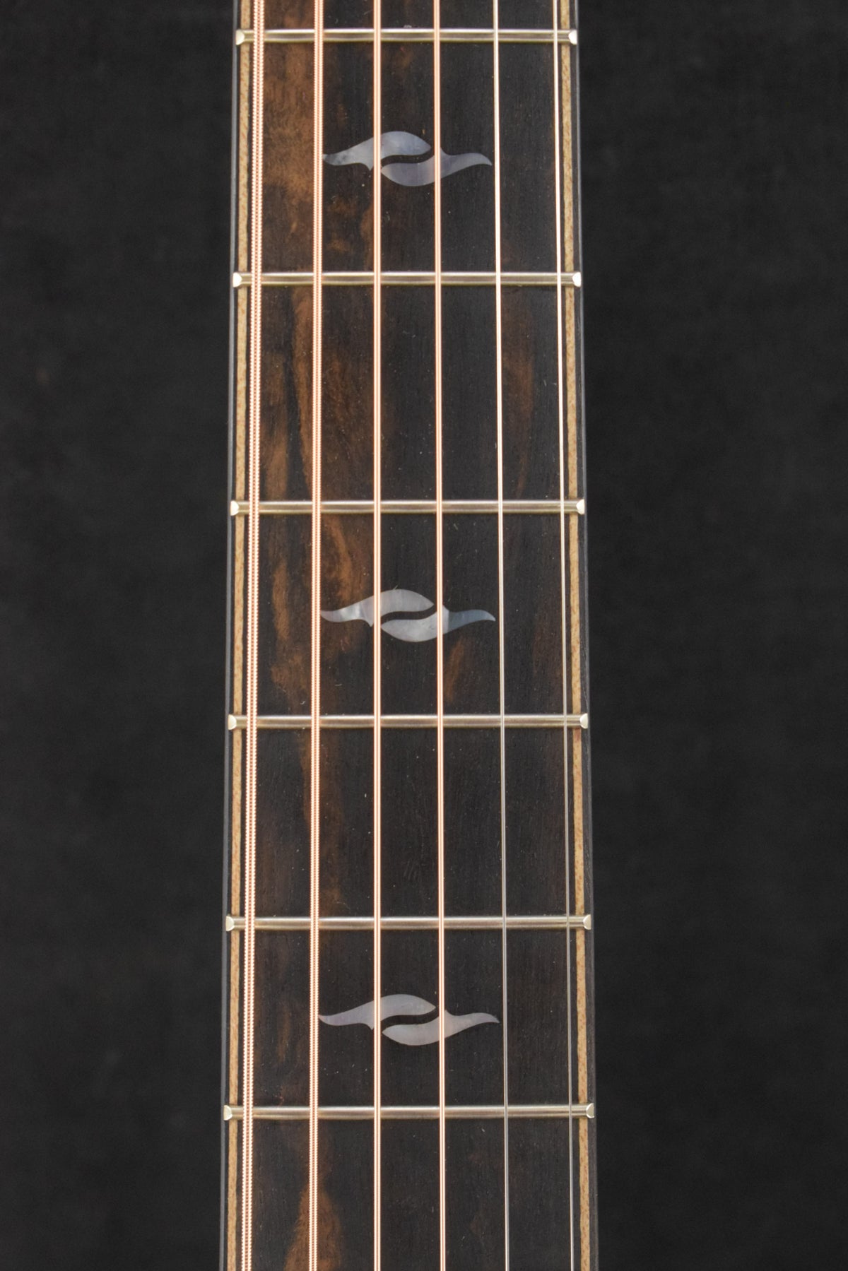 Taylor Next Generation Builder's Edition 814ce Indian Rosewood/Adirondack Spruce