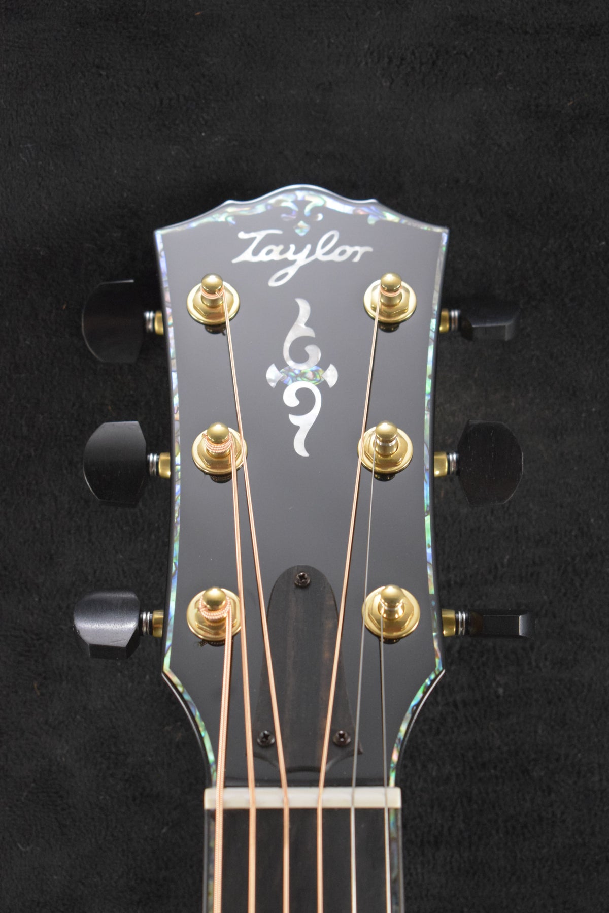 Taylor Gold Label 917e Honduran Rosewood