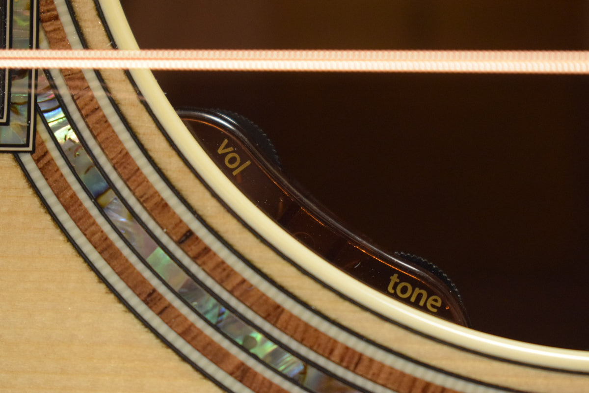 Taylor Gold Label 917e Honduran Rosewood