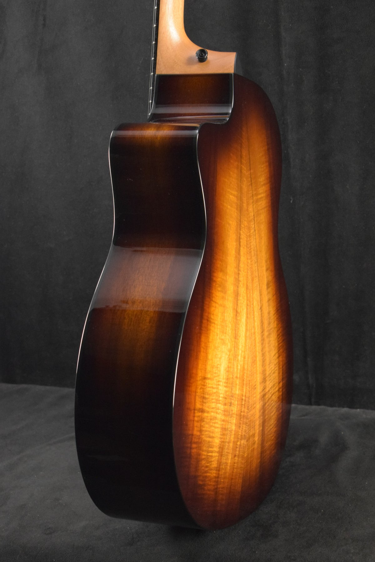 Taylor 224ce-K DLX Shaded Edgeburst