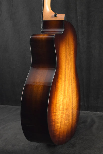 Taylor 224ce-K DLX Shaded Edgeburst