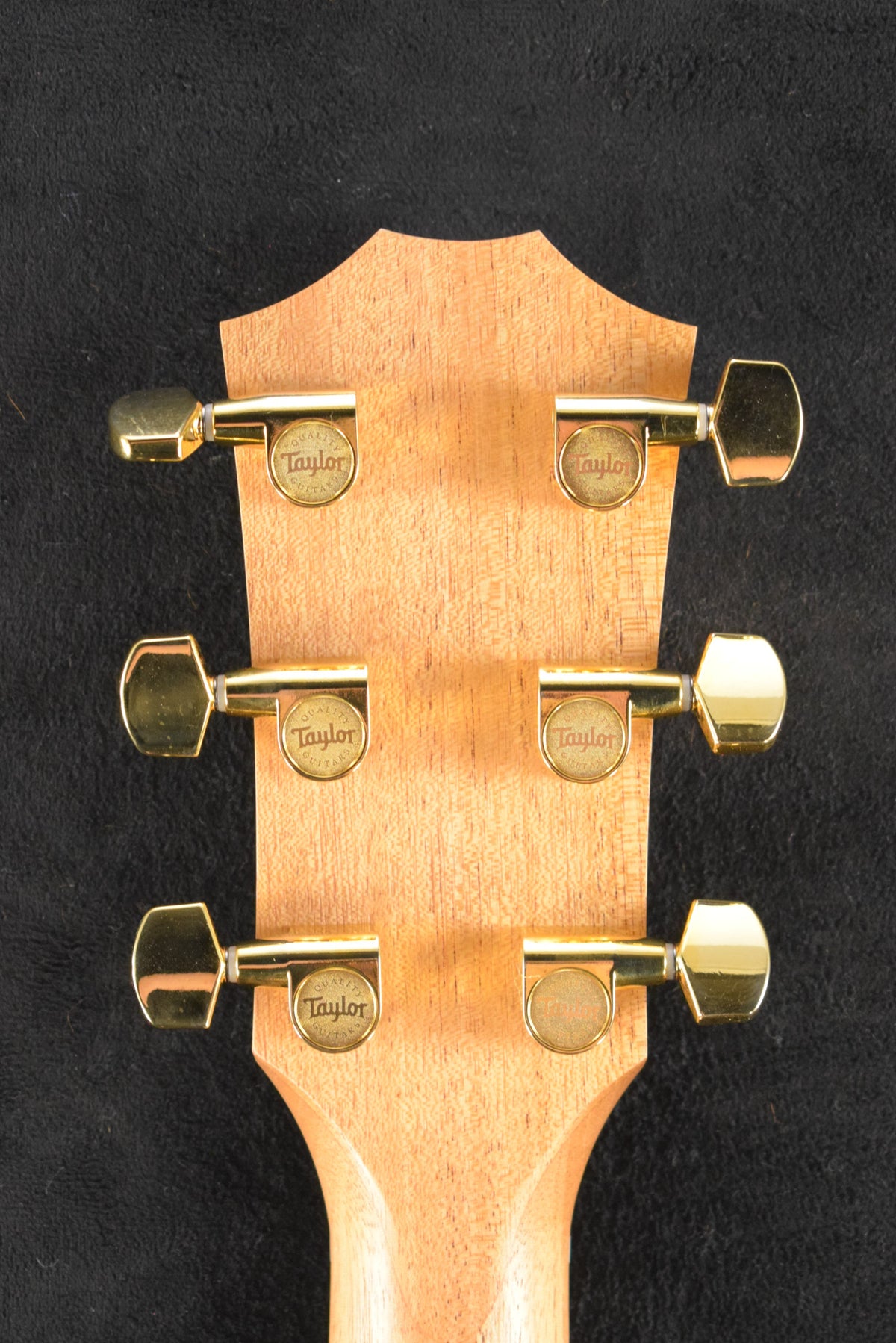 Taylor 224ce-K DLX Shaded Edgeburst