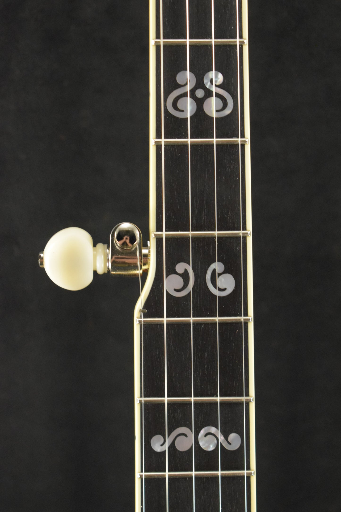 Deering Calico 5-String Banjo