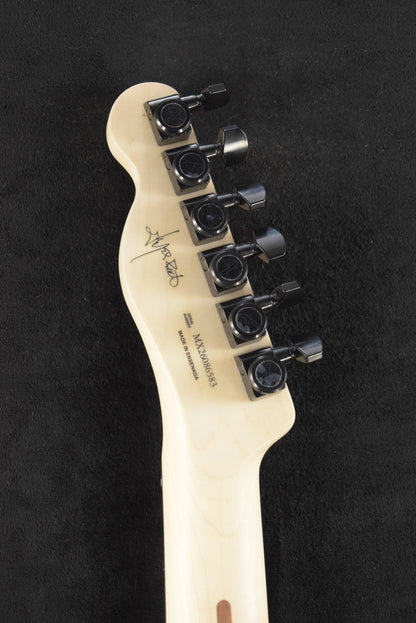Fender Jim Root Telecaster Flat White Ebony Fingerboard