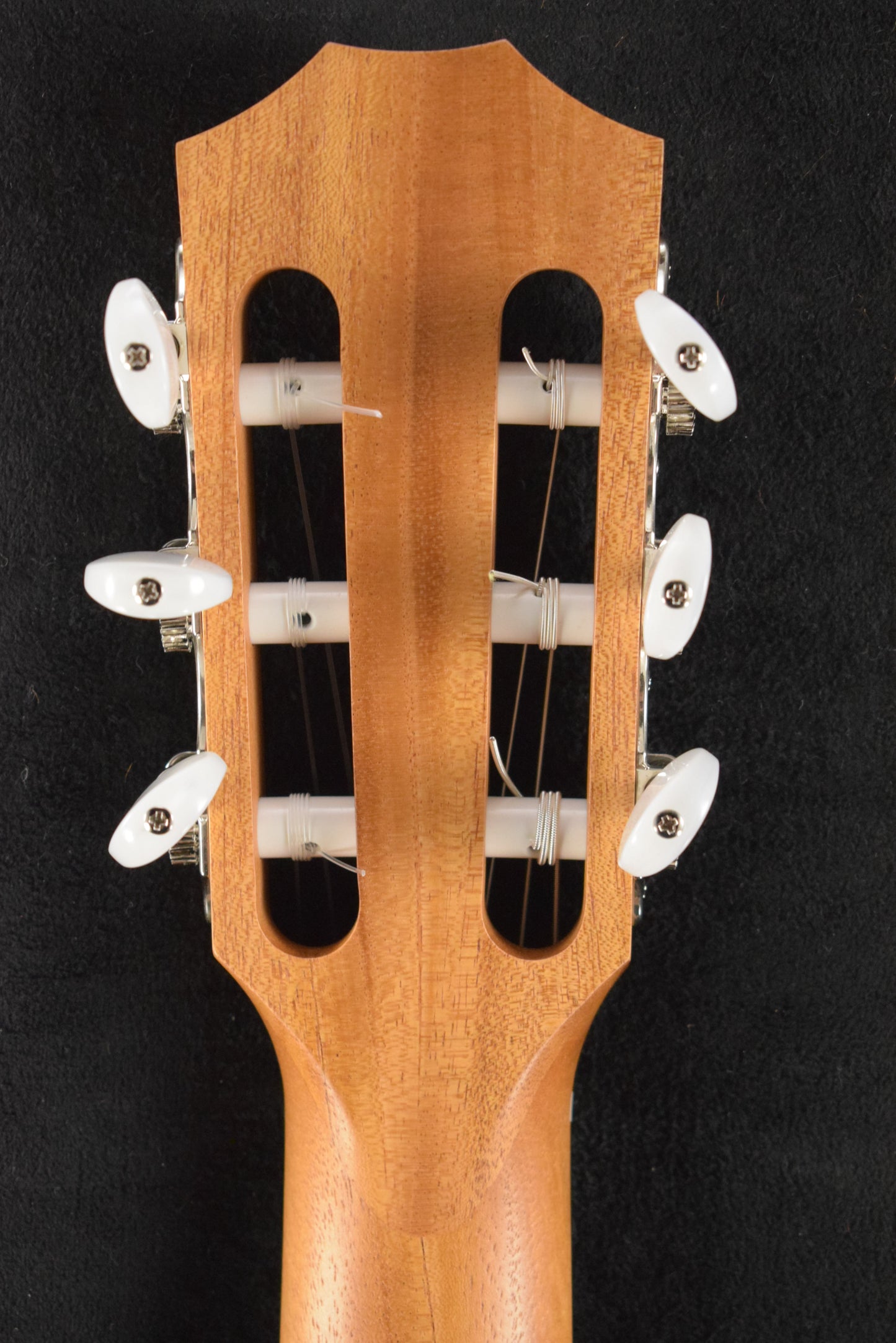 Taylor 112ce-N Nylon-String Acoustic-Electric Sapele/Torrefied Spruce Natural