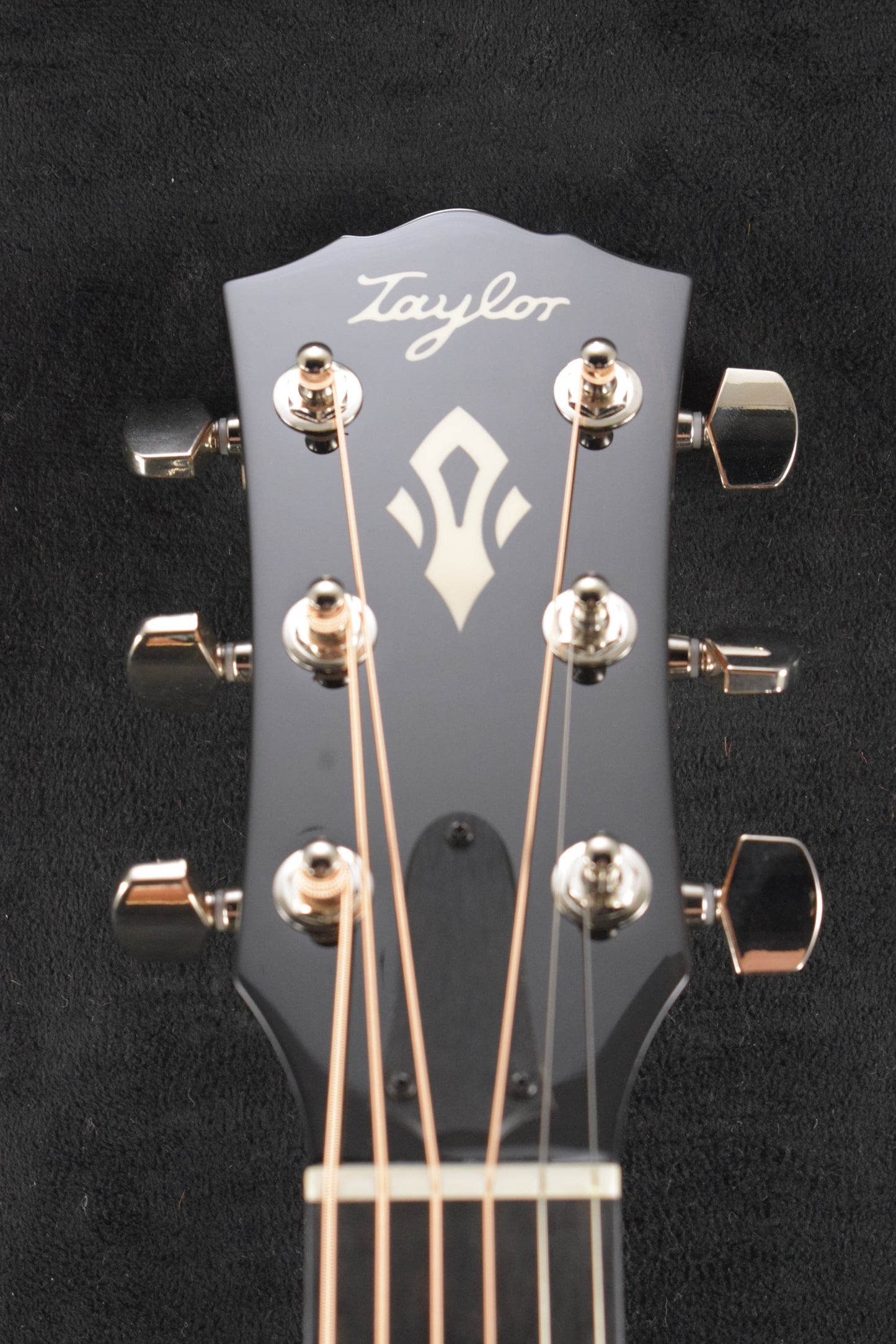Taylor Gold Label 517e SB Sunburst w/ Firestripe Pickguard