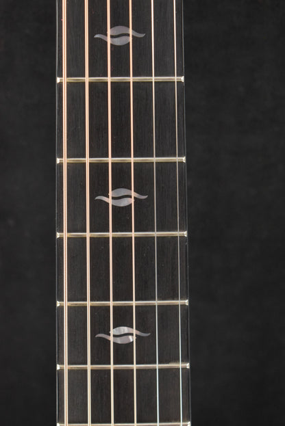 Taylor Custom C22ce 12-Fret C0945 Grand Concert Mahogany/Mahogany