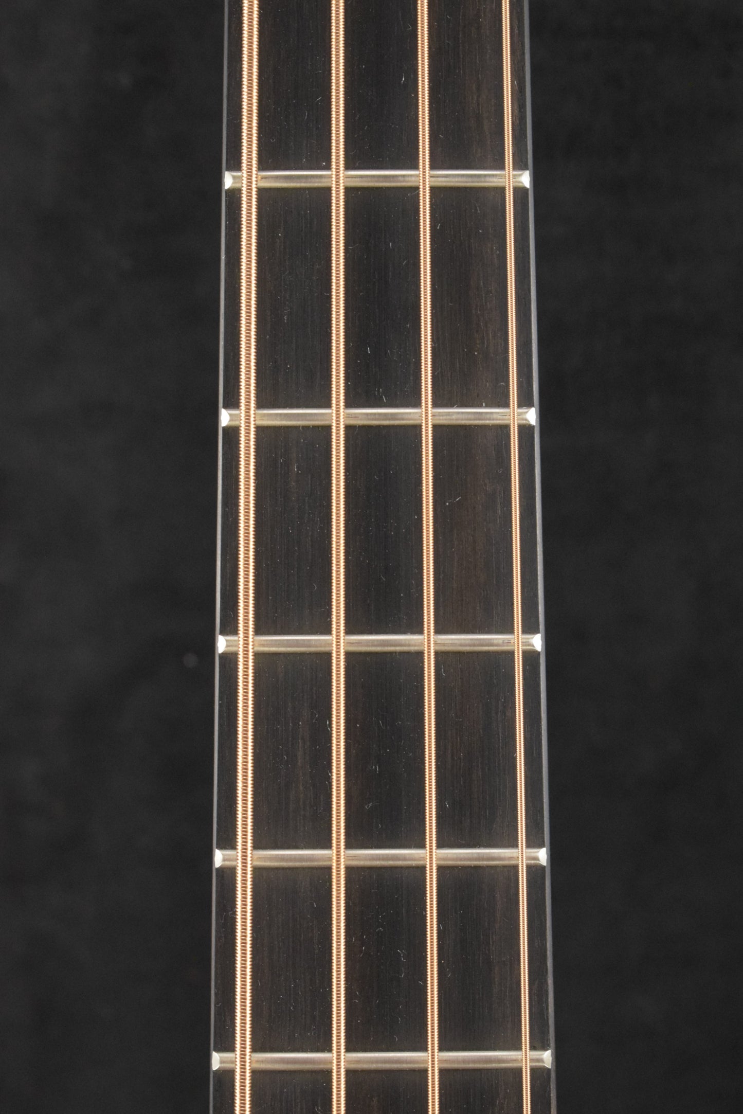 Martin BC-16E Acoustic-Electric Bass Guitar Rosewood