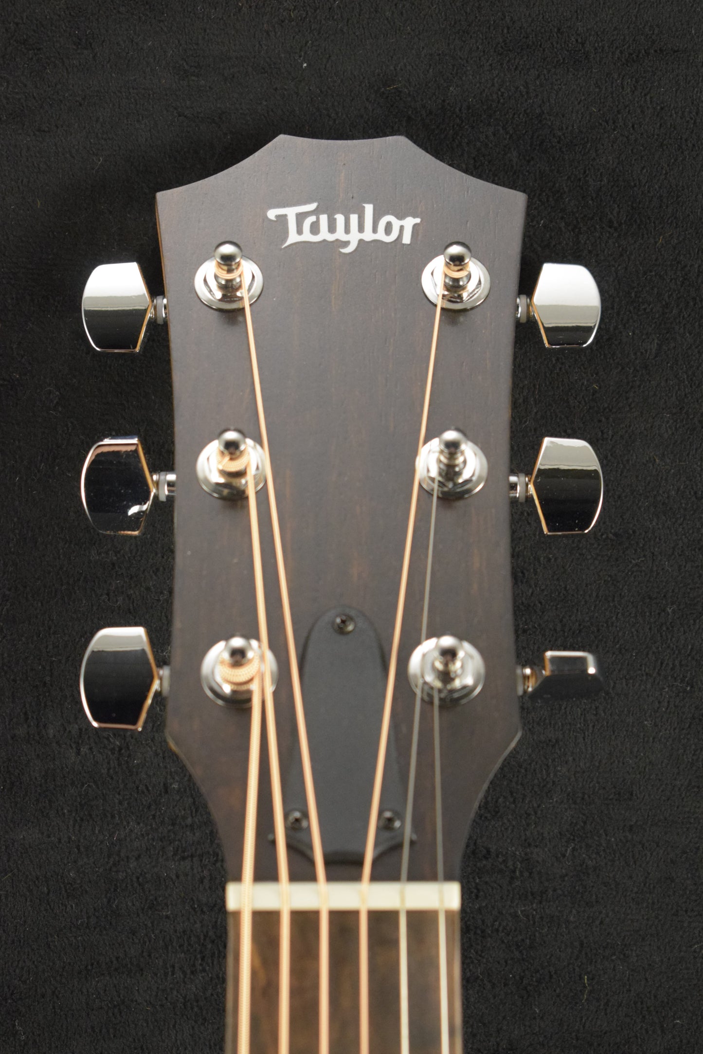 Taylor 114ce Sapele/Torrefied Spruce Natural