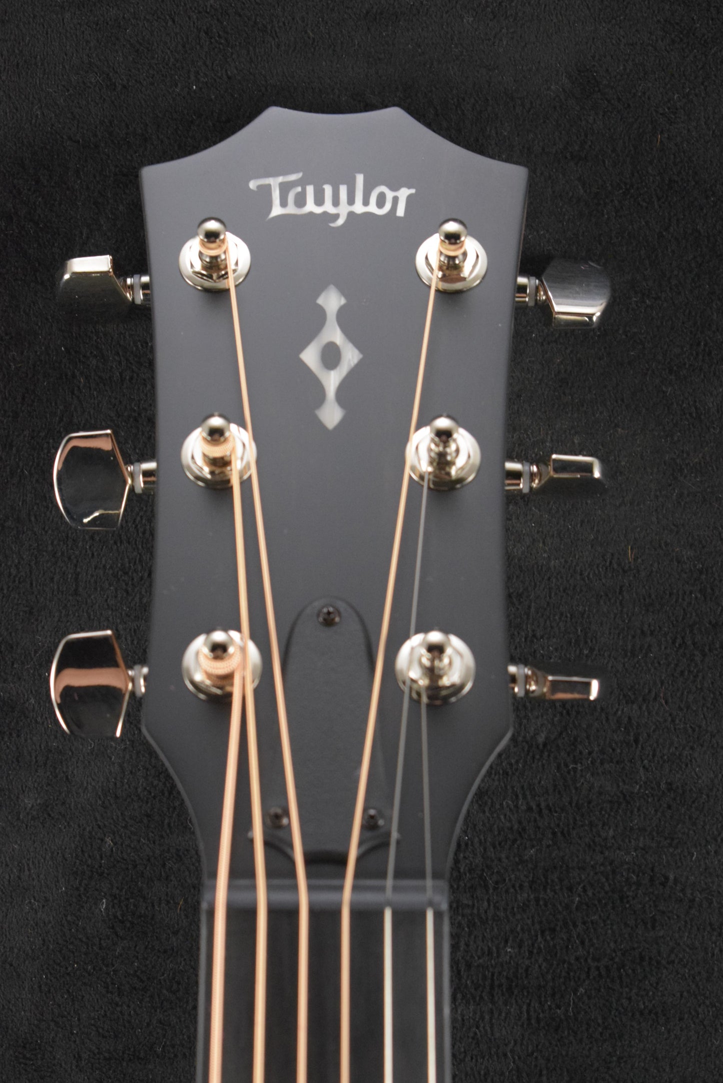Taylor Next Generation 414ce Indian Rosewood Natural