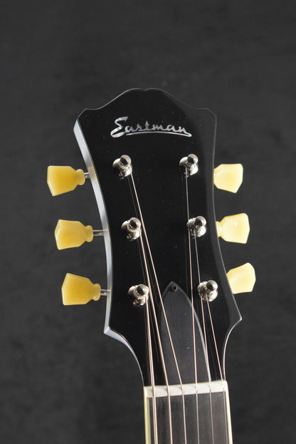 Eastman T64-T IBM Trapeze Iced Blue Metallic