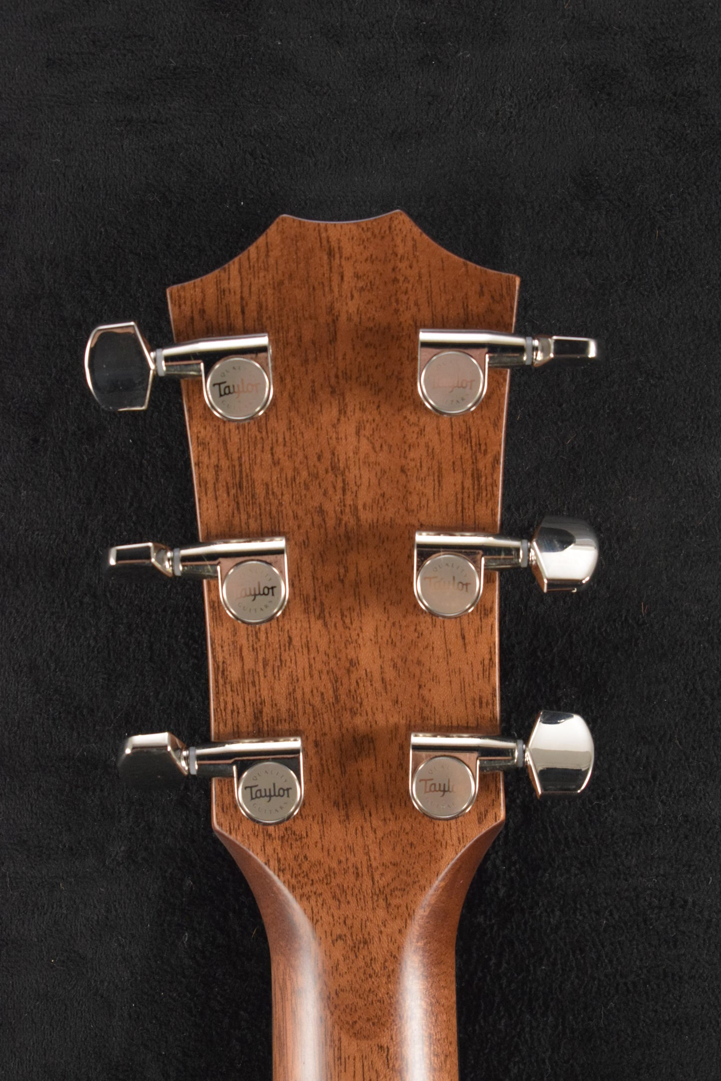 Taylor Next Generation 414ce Indian Rosewood Natural