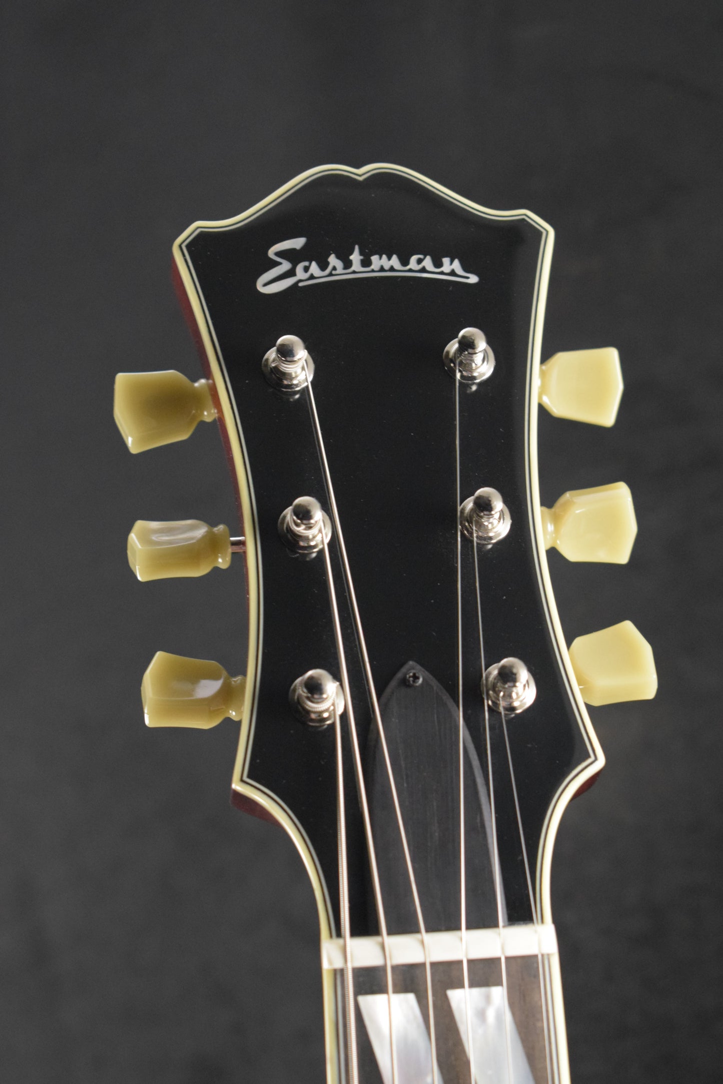 Eastman T486 Thinline Classic Gloss Finish