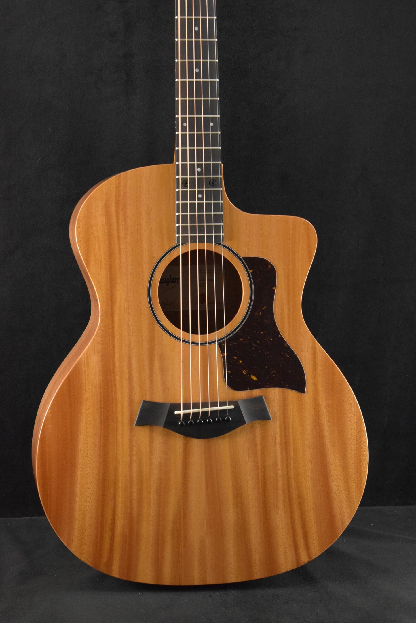 Taylor 24ce Mahogany Top Natural