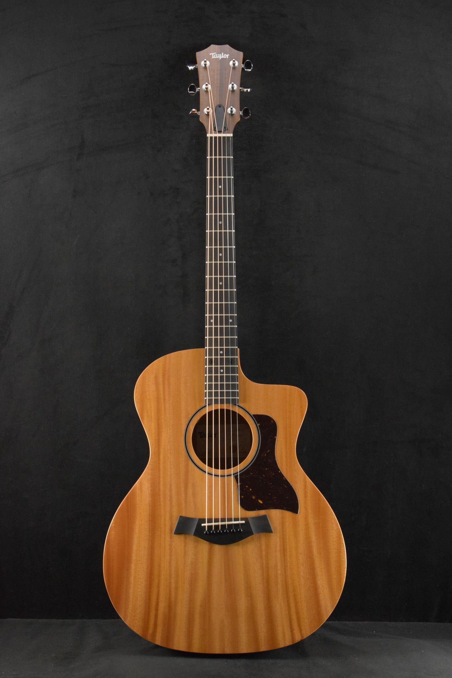 Taylor 24ce Mahogany Top Natural