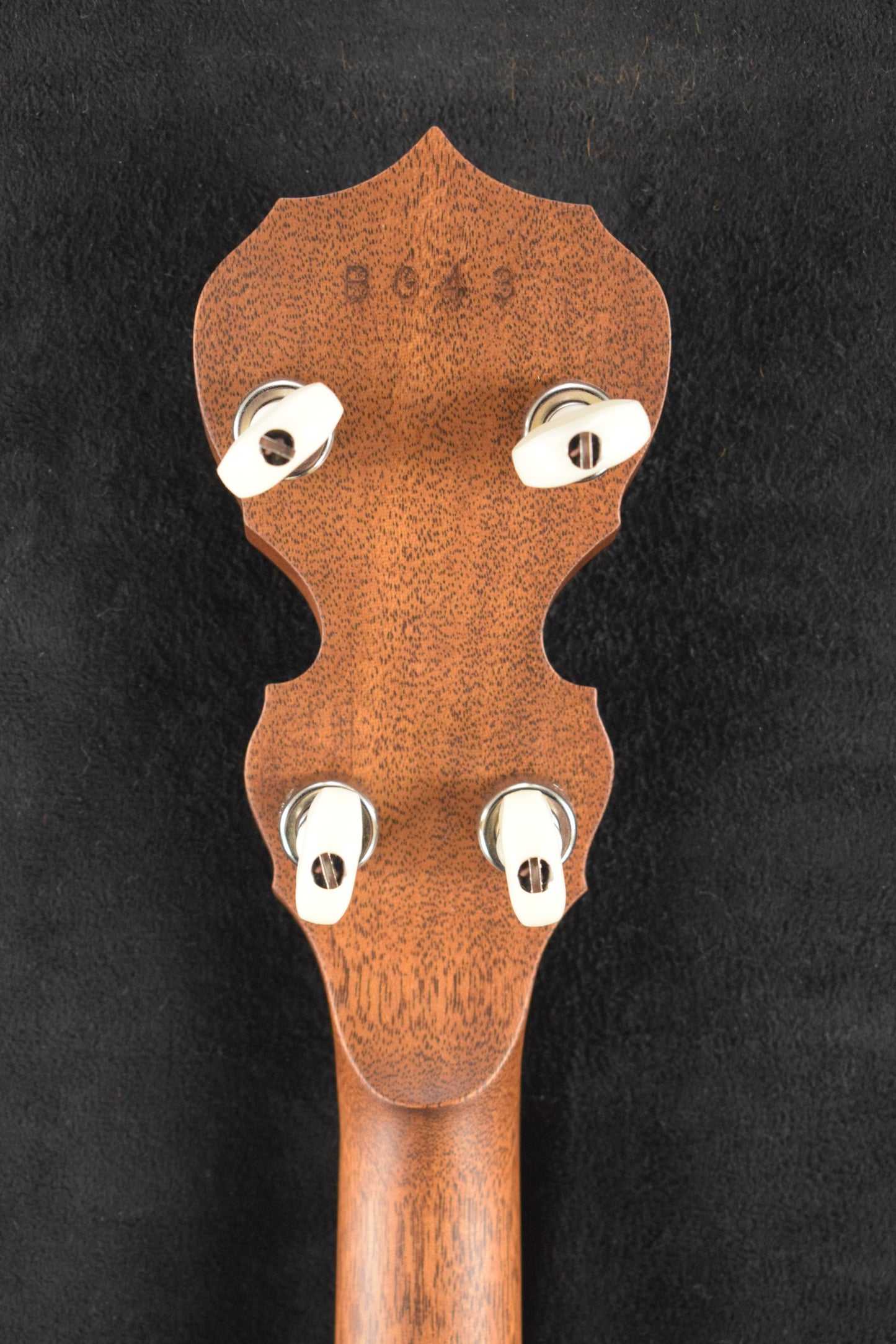 Deering Sierra Mahogany 5-String Acoustic/Electric Banjo with Kavanjo Pick Up
