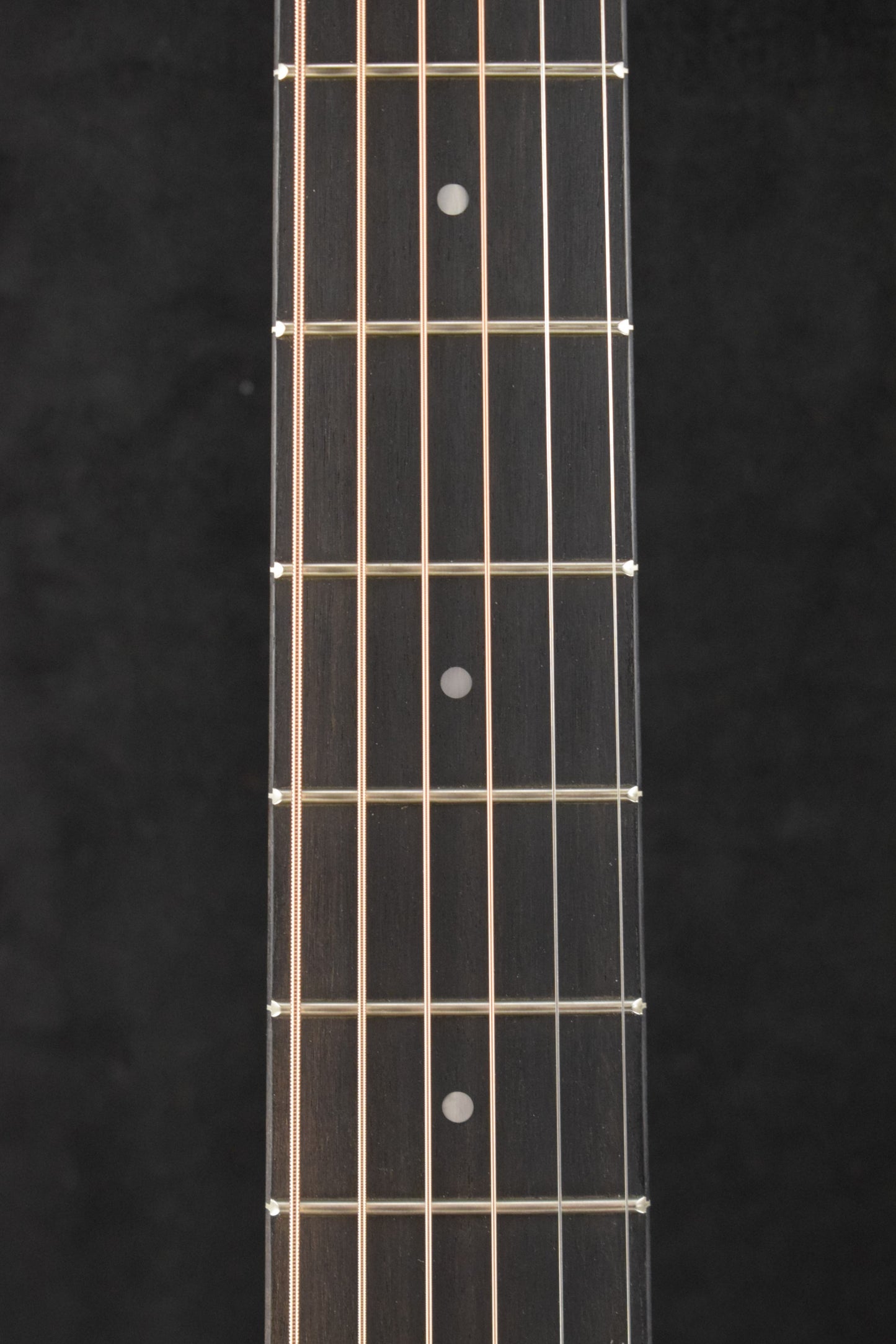 Taylor 24ce Mahogany Top Natural