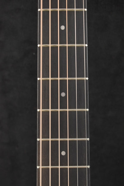 Taylor 24ce Mahogany Top Natural