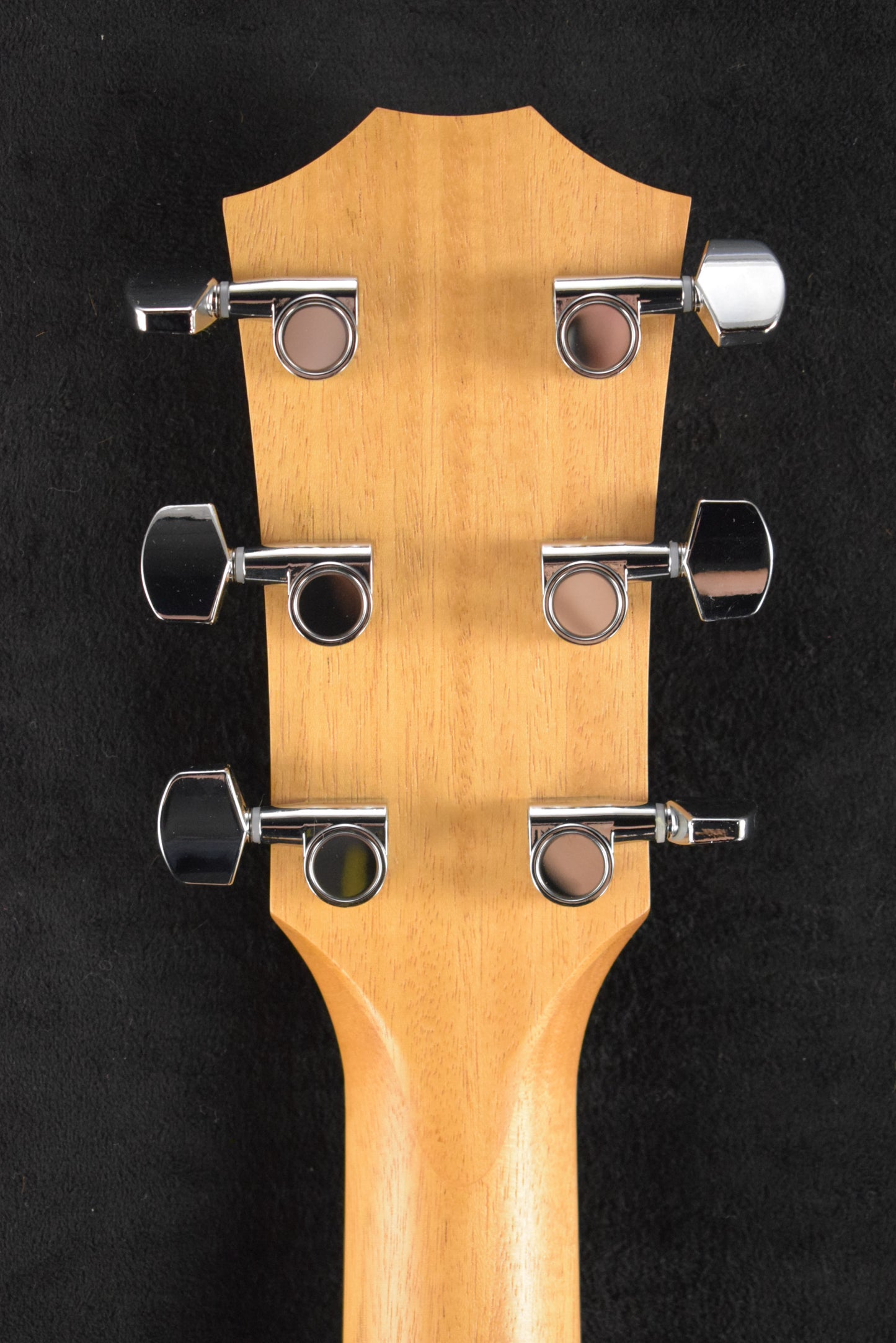 Taylor Academy 12e Natural