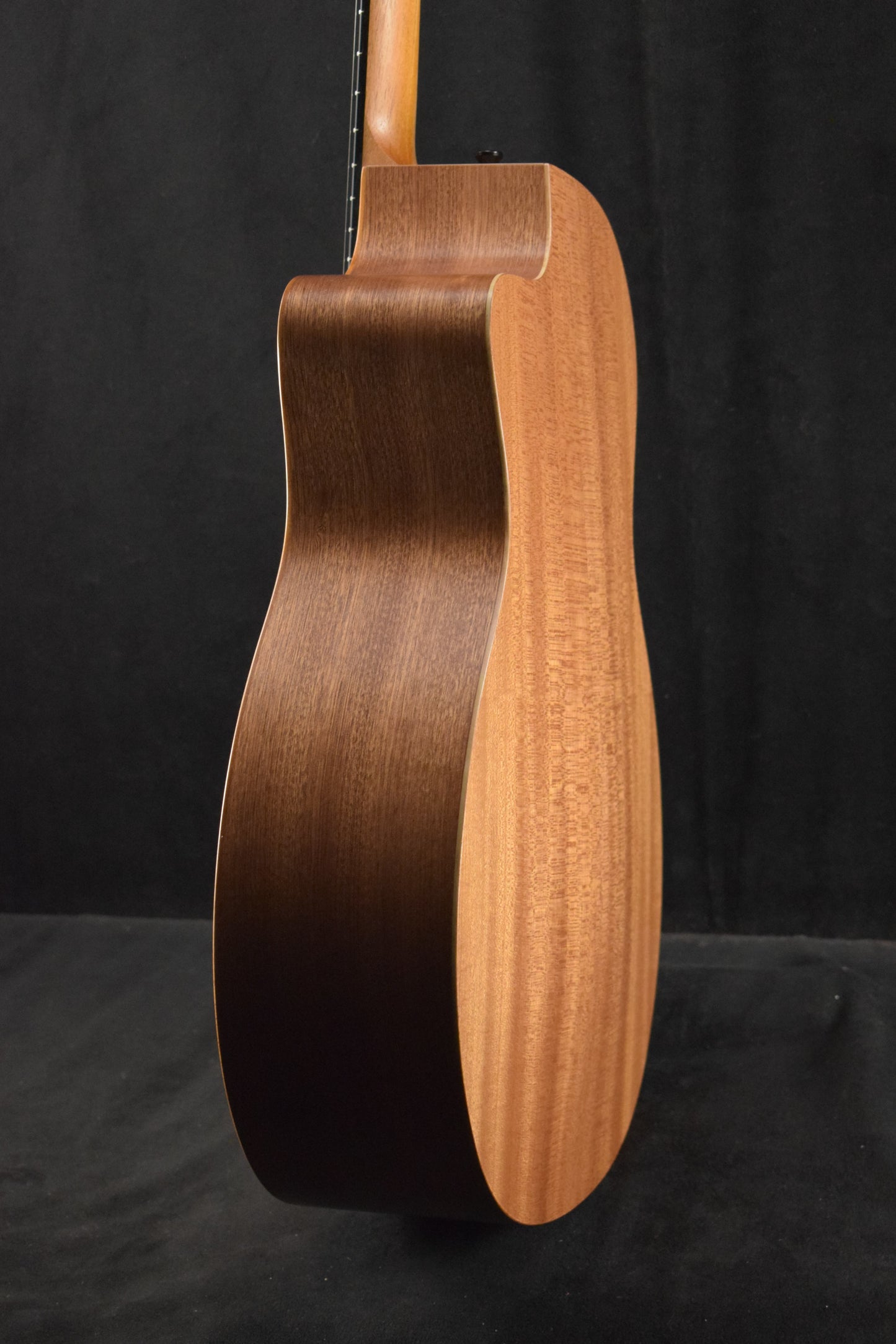 Taylor 24ce Mahogany Top Natural