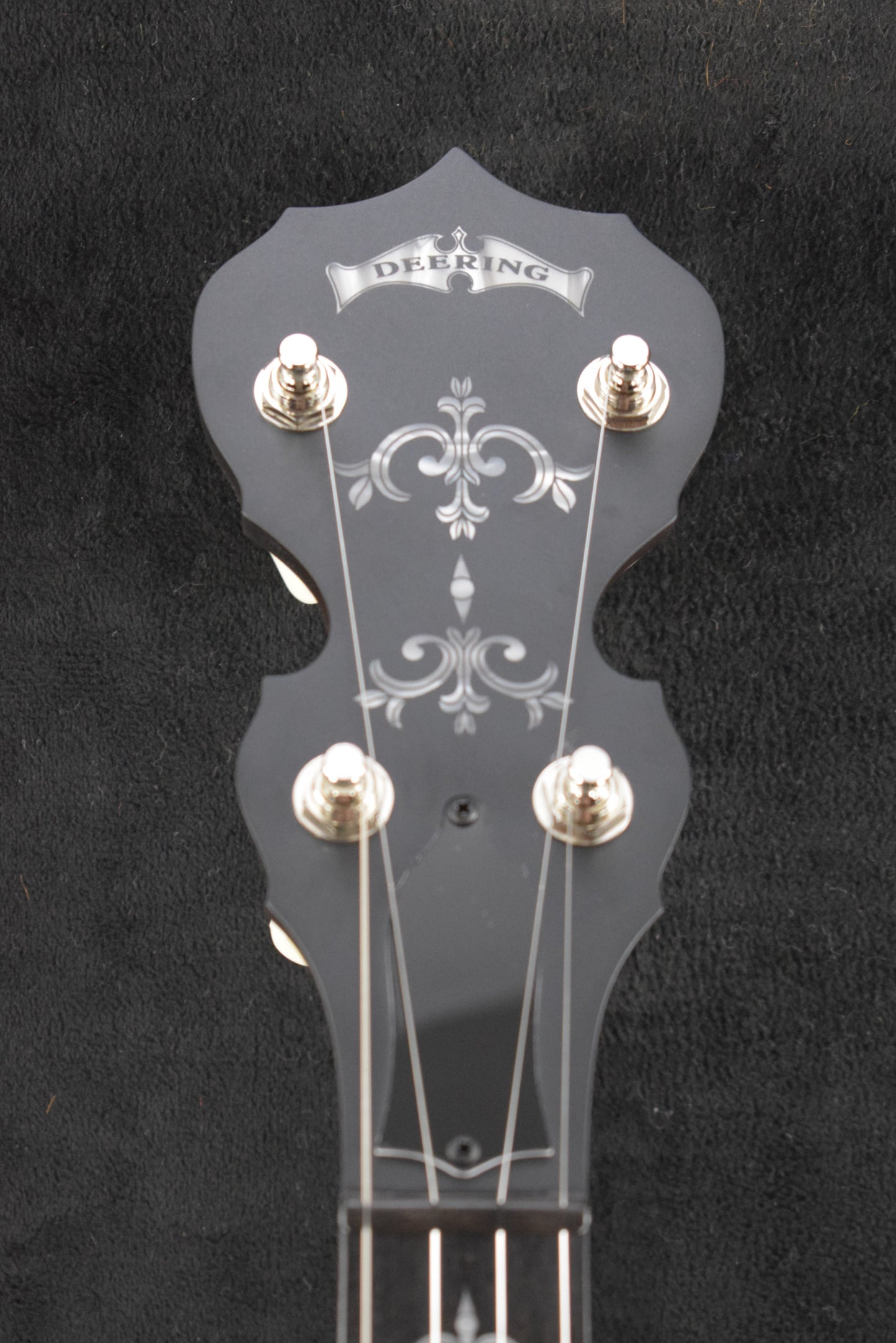 Deering Sierra Maple 5-String Acoustic/Electric Banjo with Kavanjo Pick Up