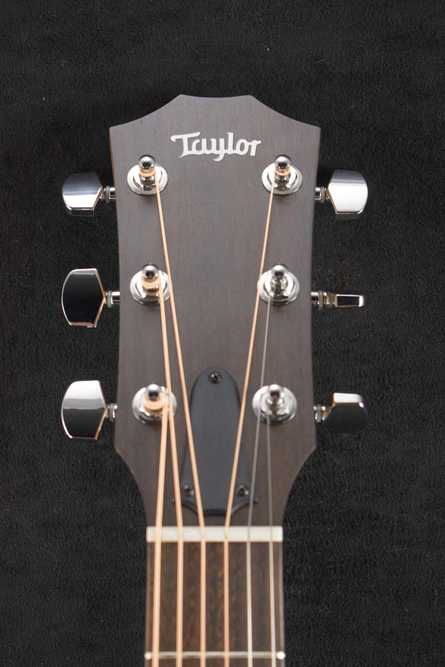 Taylor 114ce Sapele/Torrefied Spruce Natural