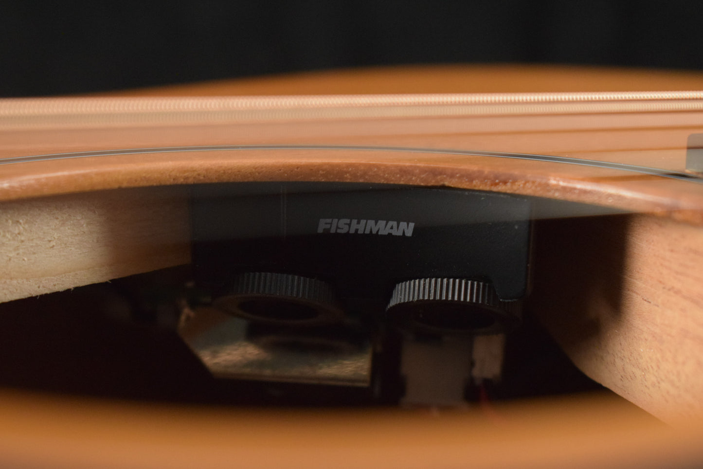 Taylor 24ce Mahogany Top Natural