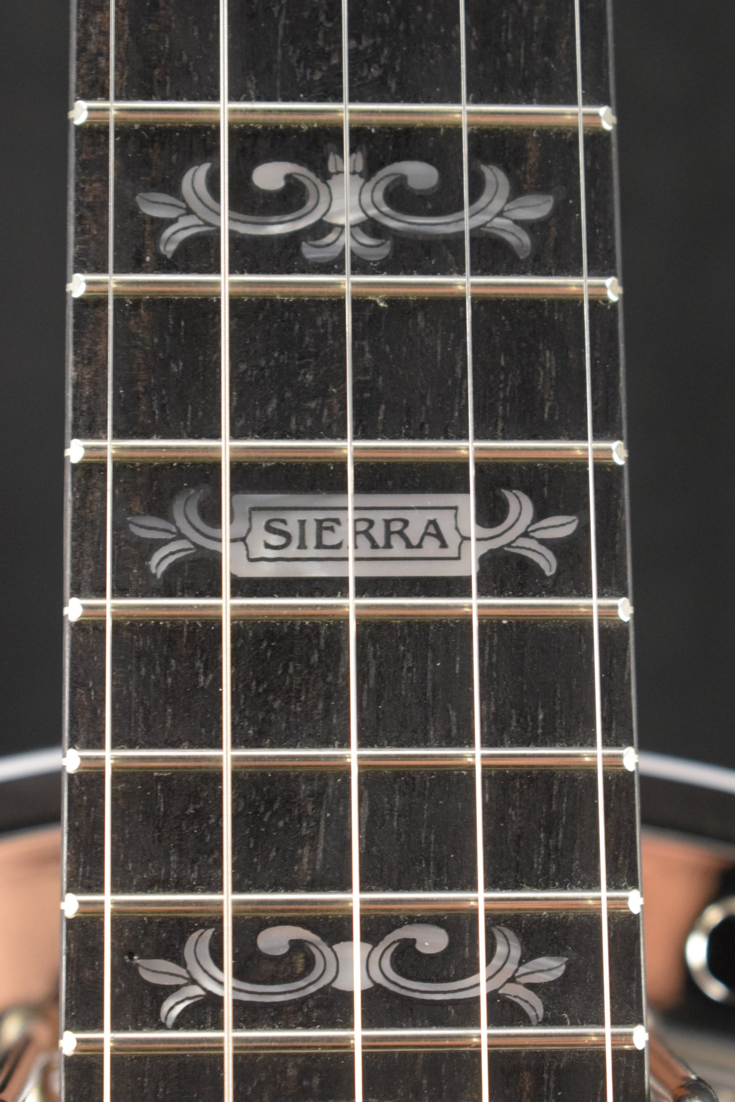Deering Sierra Maple 5-String Acoustic/Electric Banjo with Kavanjo Pick Up