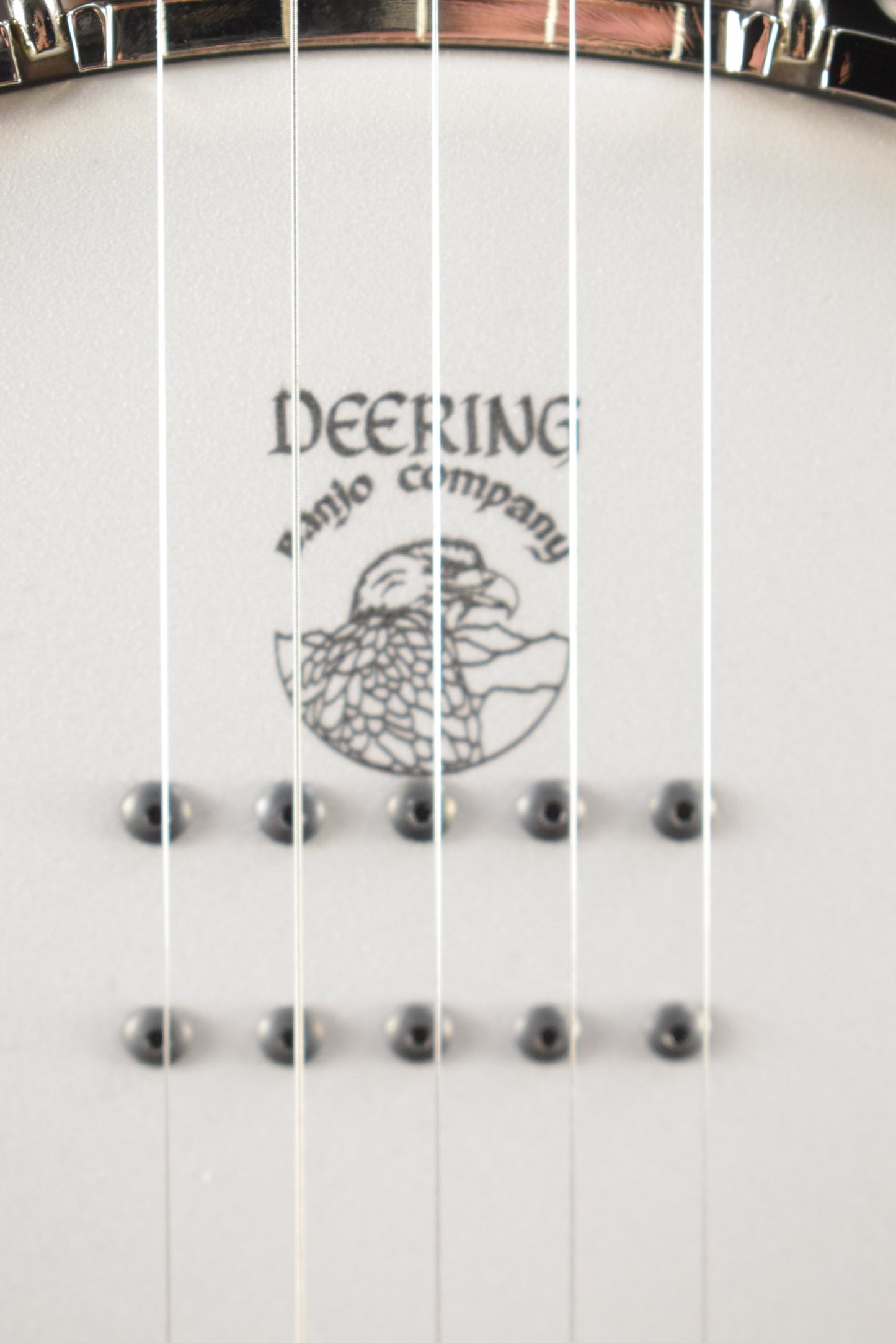 Deering Sierra Maple 5-String Acoustic/Electric Banjo with Kavanjo Pick Up