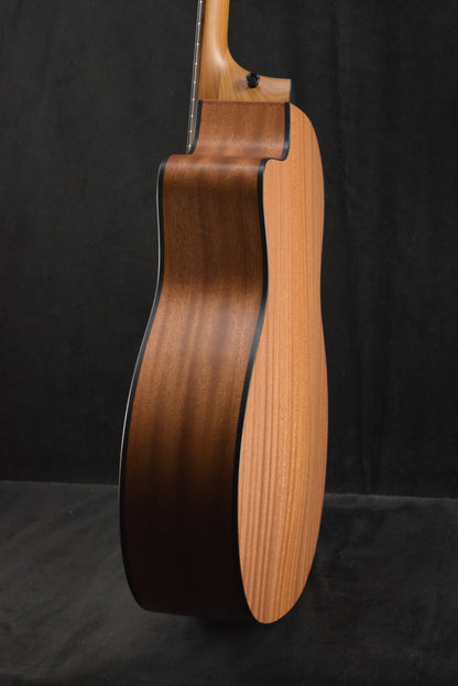 Taylor 114ce Sapele/Torrefied Spruce Natural