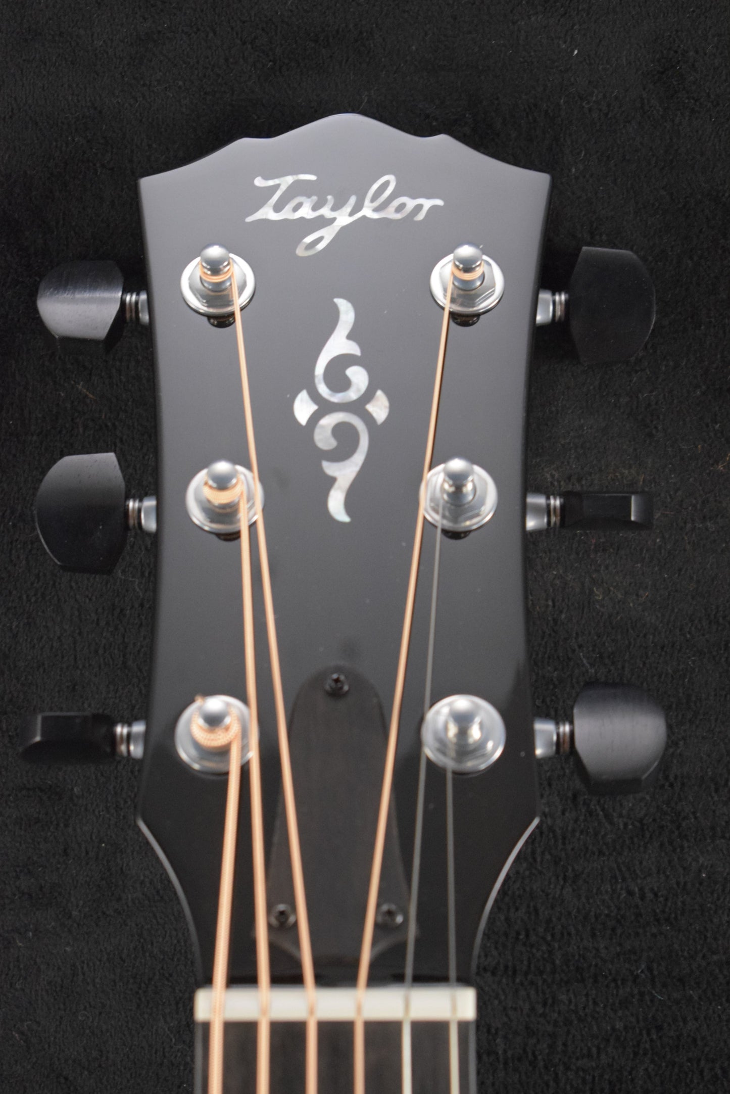 Taylor Gold Label 810e Natural