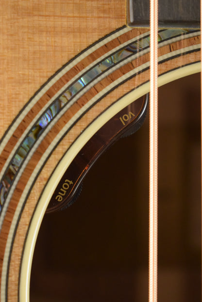 Taylor Gold Label 810e Natural