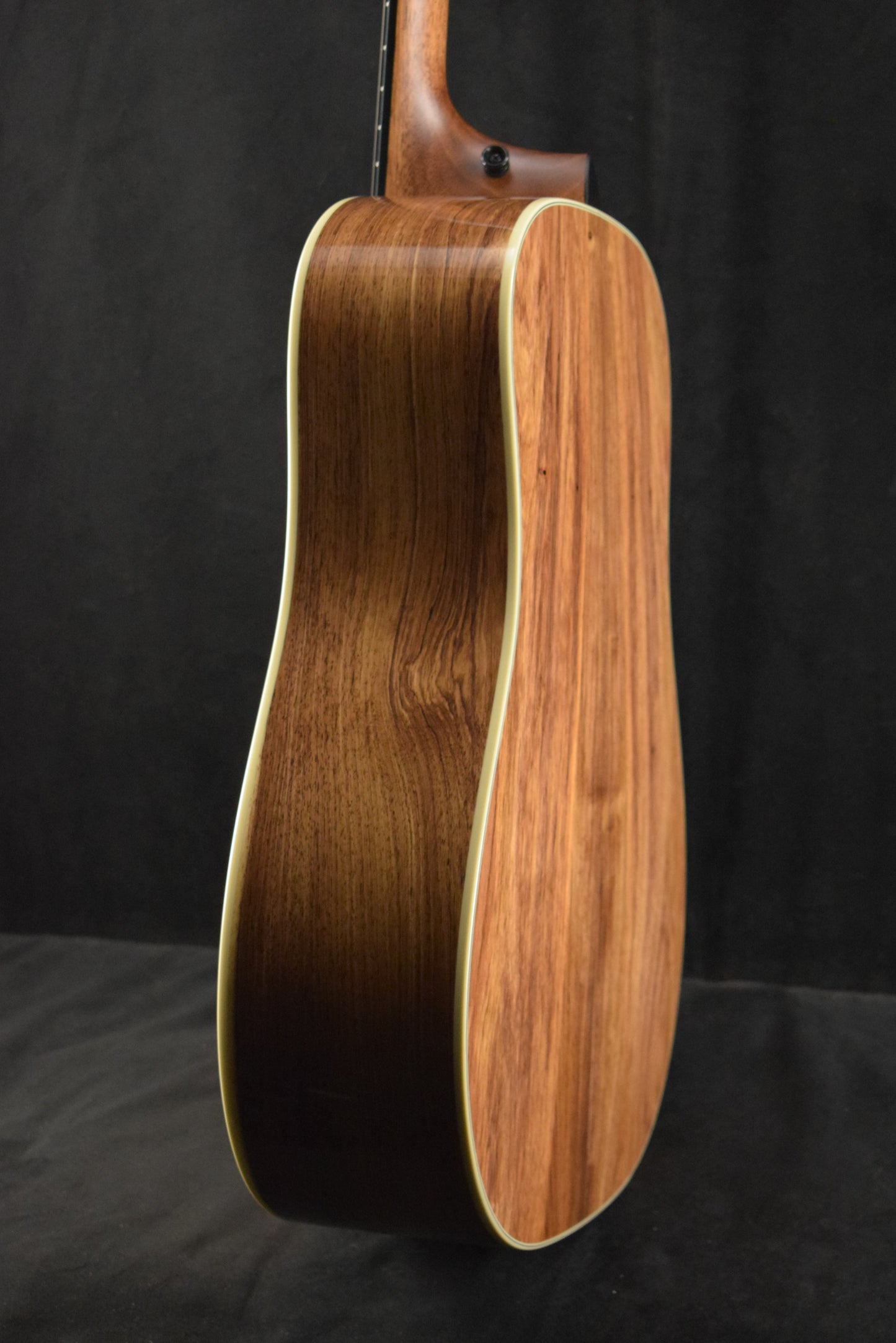 Taylor Gold Label 810e Natural