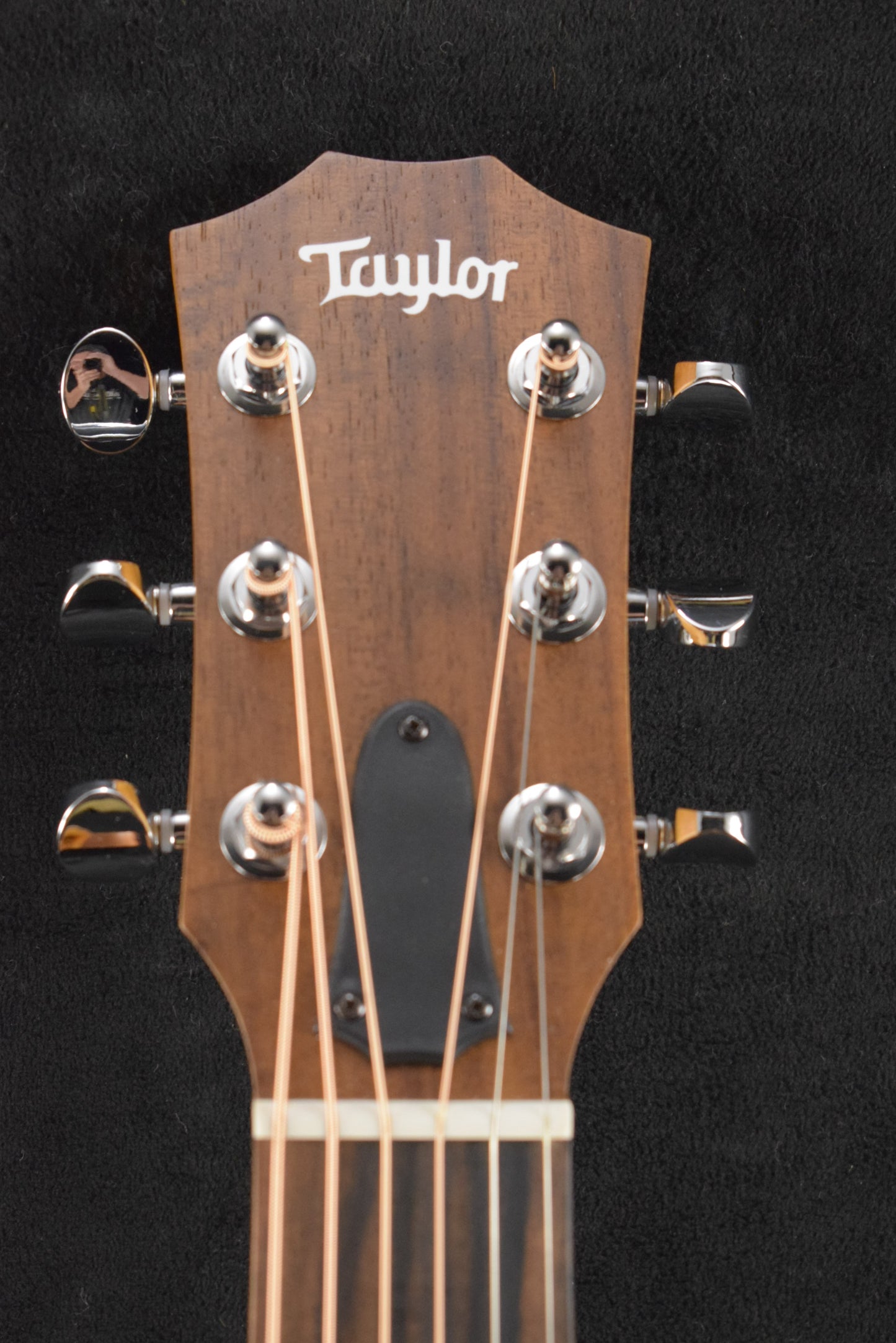 Taylor GS Mini-e Special Edition Floral Green