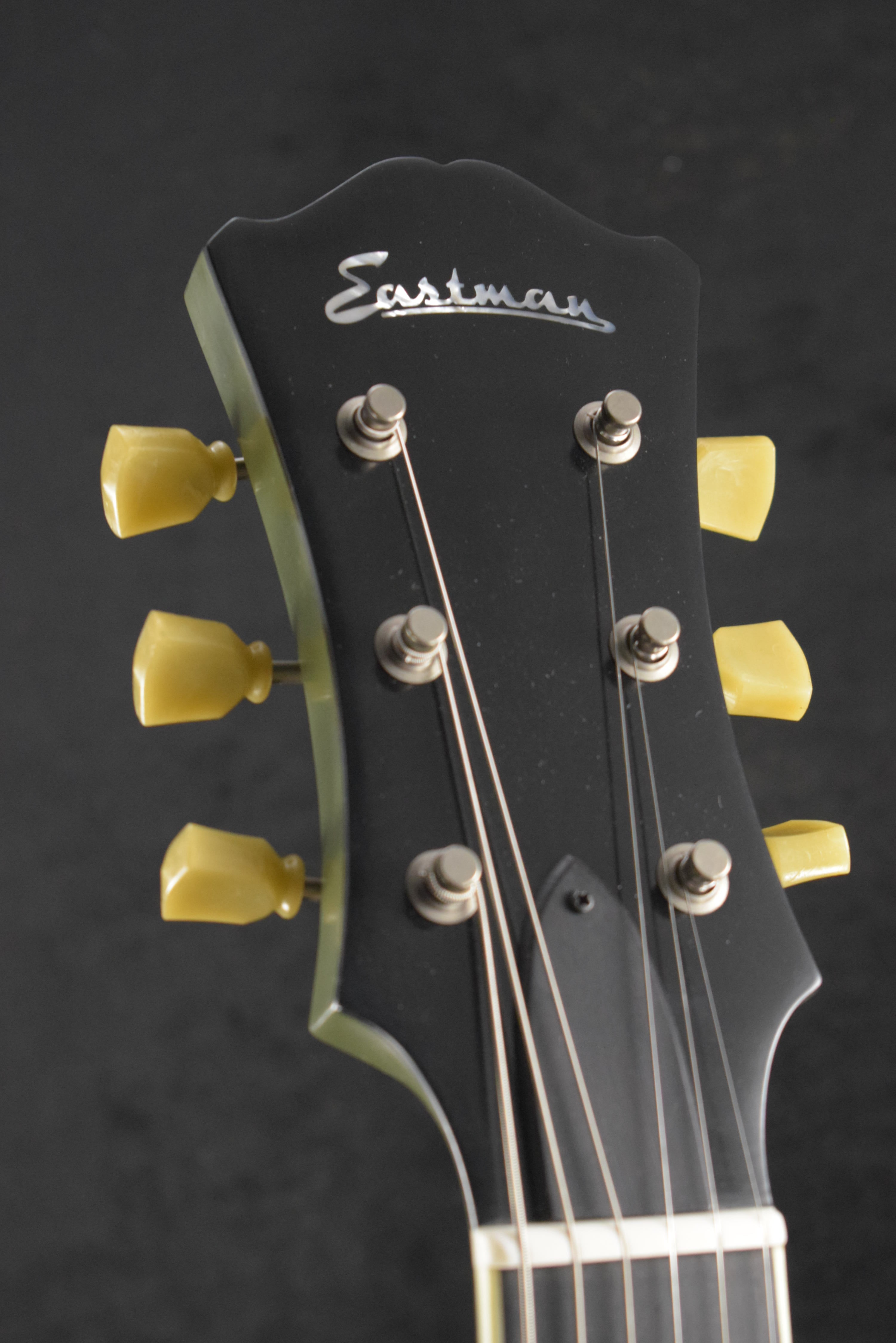 Eastman T64/TV-LTD-OD Olive Drab Limited Edition – Fuller's Guitar