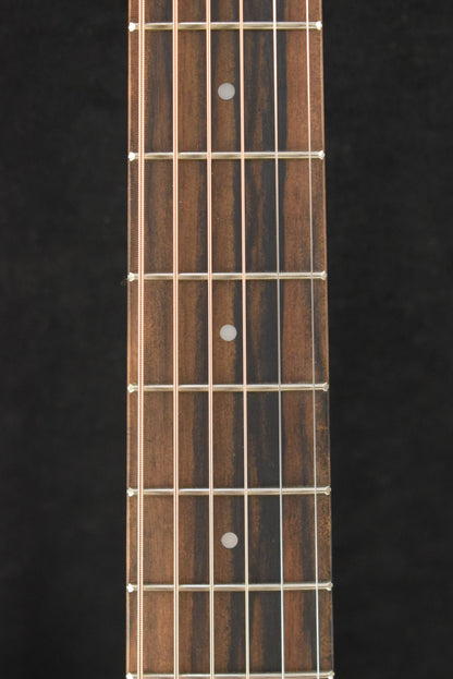 Taylor GS Mini-e Special Edition Floral Green
