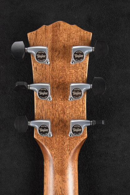 Taylor Gold Label 810e Natural