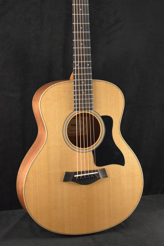Taylor GS Mini