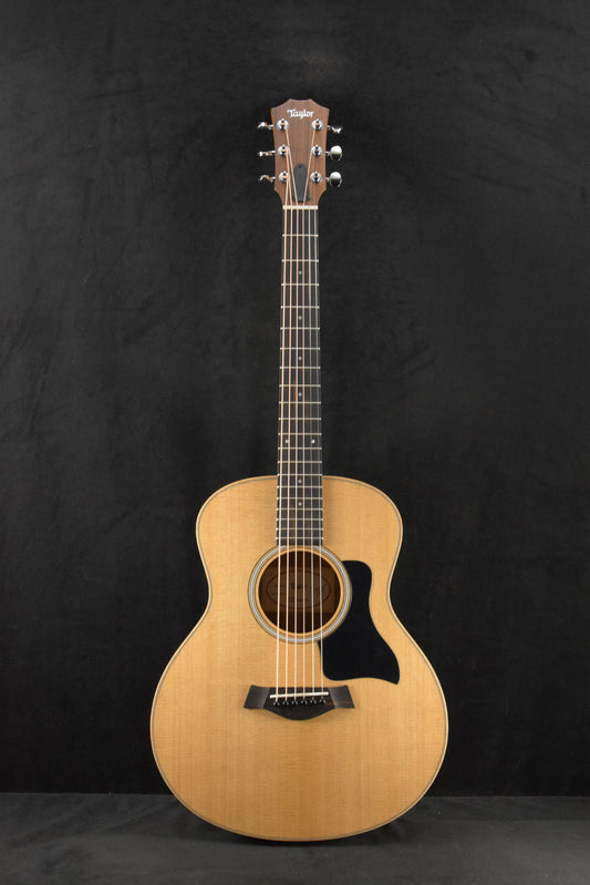 Taylor GS Mini