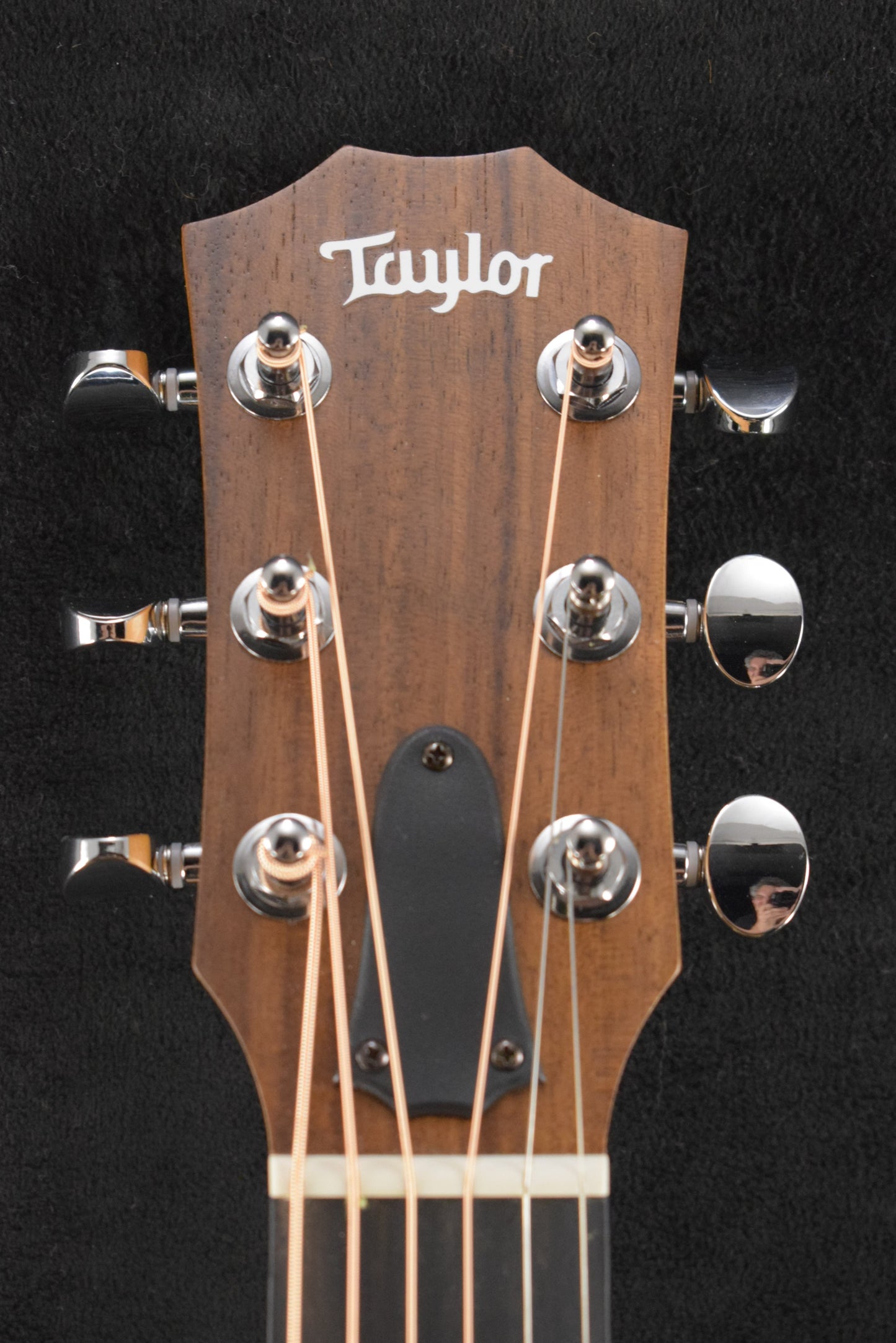 Taylor GS Mini