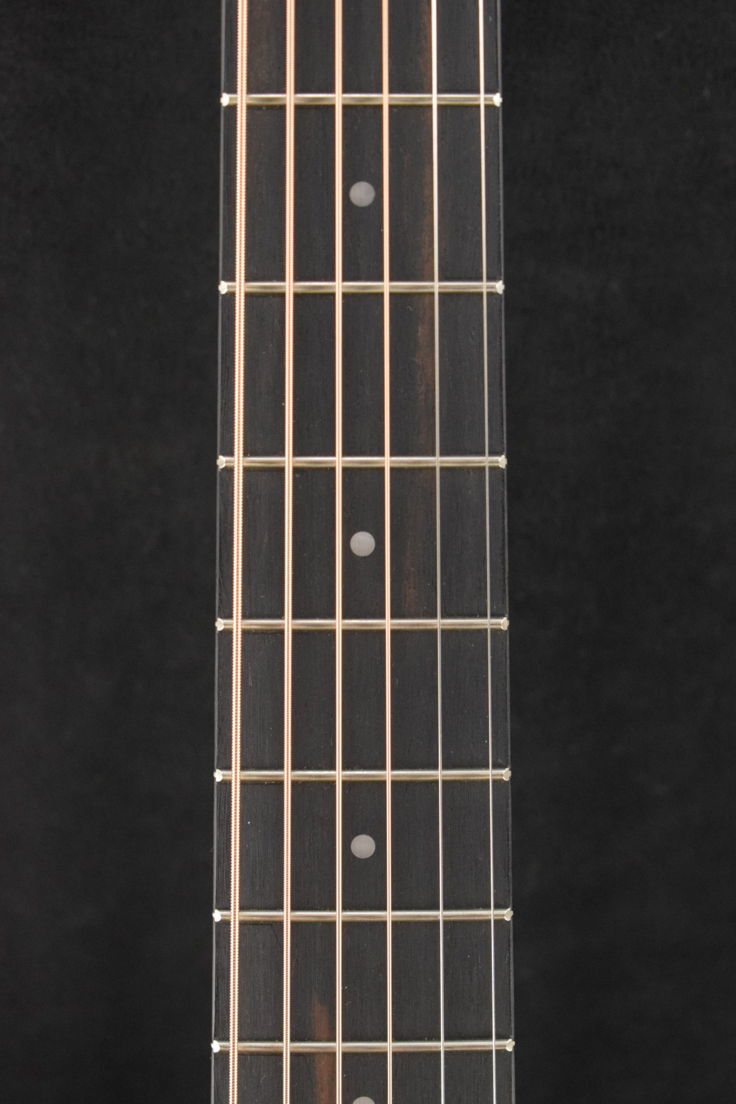 Taylor GS Mini