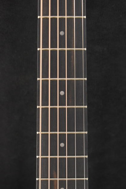 Taylor GS Mini