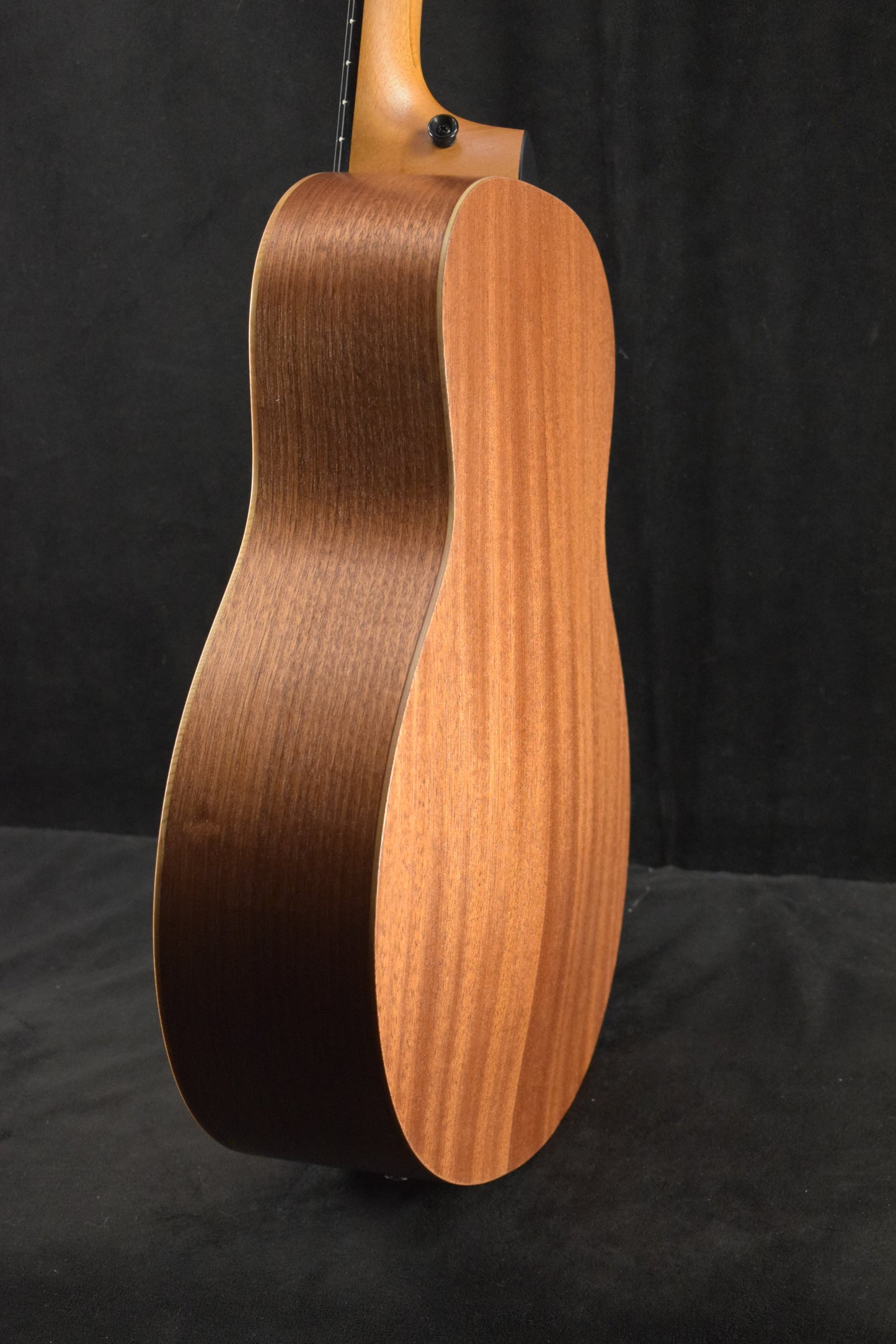 Taylor GS Mini