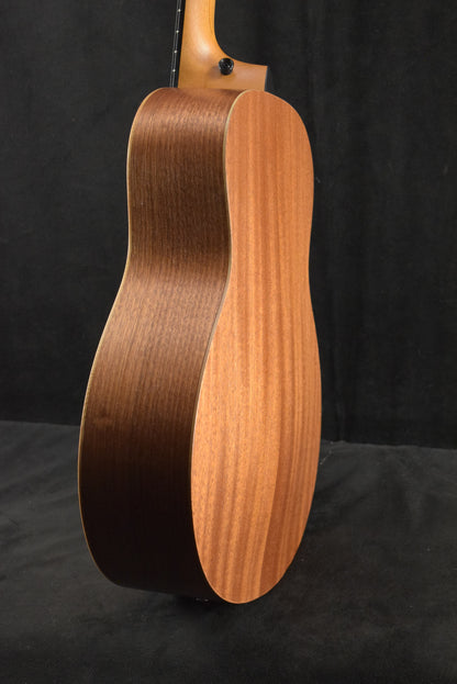 Taylor GS Mini