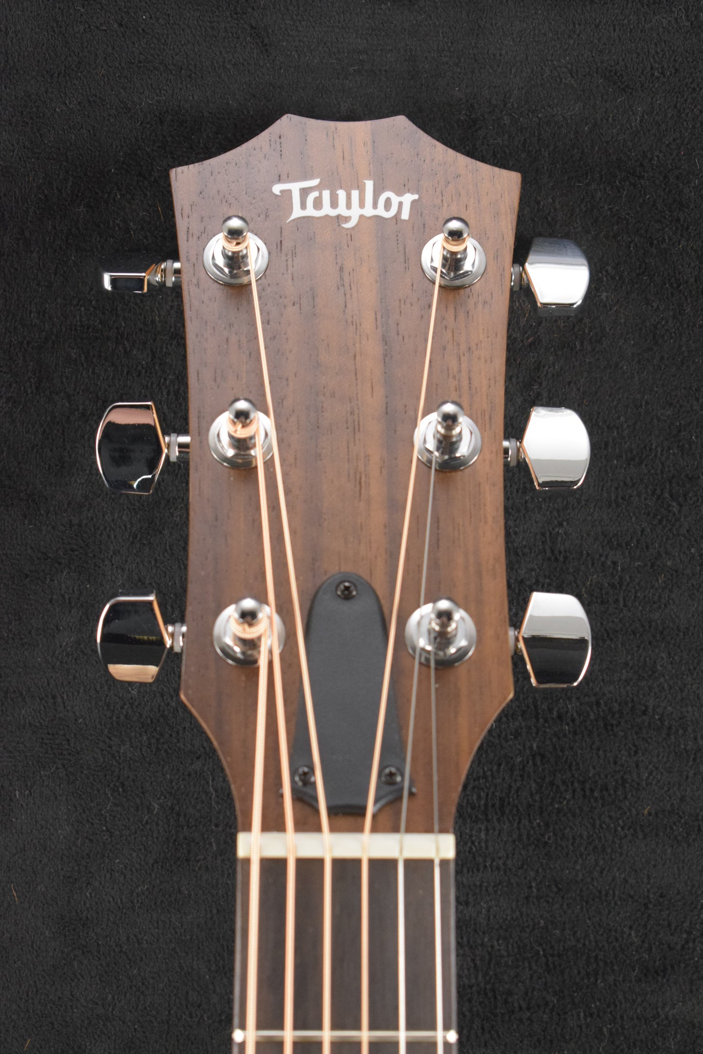 Taylor Academy 22e