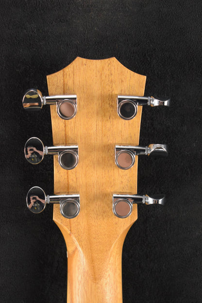 Taylor GS Mini