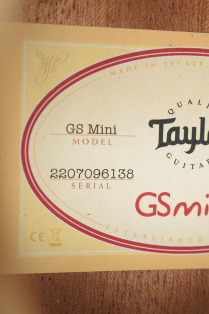 Taylor GS Mini