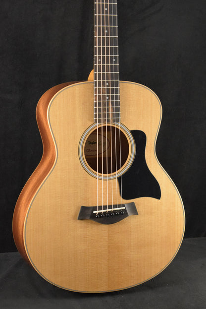 Taylor GS Mini