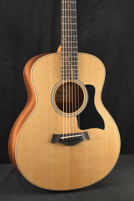 Taylor GS Mini