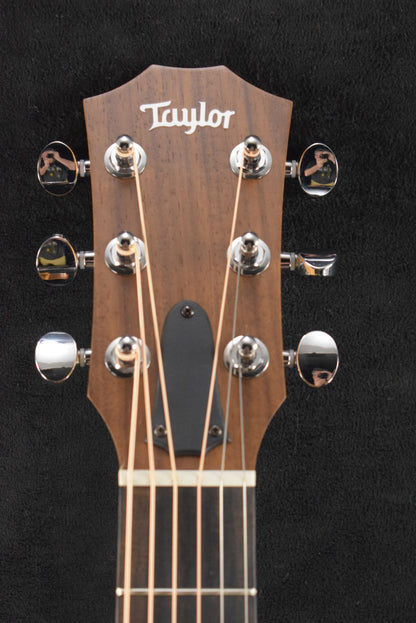 Taylor GS Mini